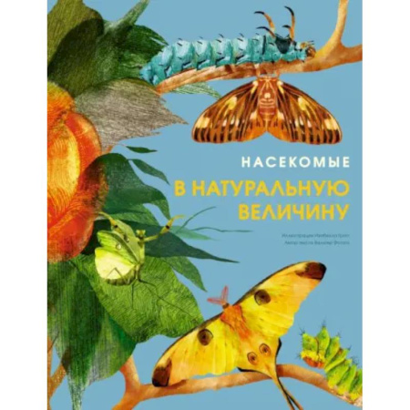 Животный и растительный мир, книга Насекомые в натуральную величину заказать