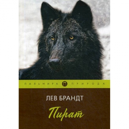 Русская современная проза, книга Пират заказать