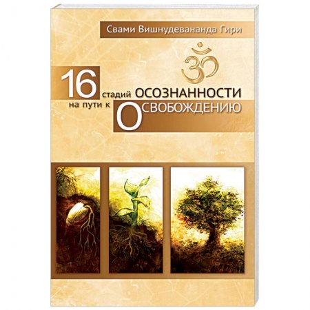 Другие духовные практики, книга 16 стадий осознанности на пути к освобождению заказать