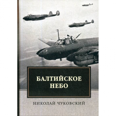 Исторический роман, книга Балтийское небо заказать
