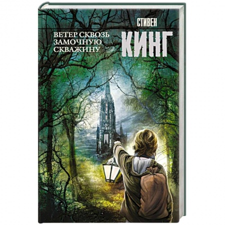 Книги, книга Ветер сквозь замочную скважину заказать