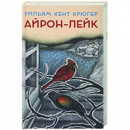 Зарубежный детектив, книга Айрон-Лейк заказать