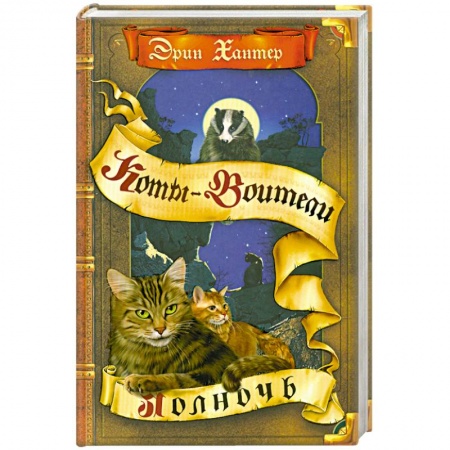 Книги, книга Полночь заказать