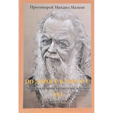Православие и общество, книга По дороге в Эммаус. Хроники христианской жизни 21 столетия заказать