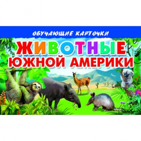 Книги, книга Карточки. Животные Южной Америки заказать