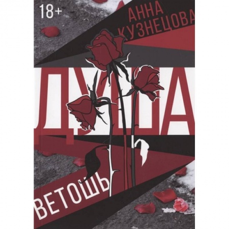 Русская современная проза, книга Душа-ветошь заказать