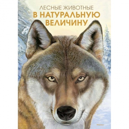 Животный и растительный мир, книга Лесные жители в натуральную величину заказать