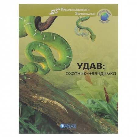 Животный и растительный мир, книга Удав: охотник-невидимка заказать