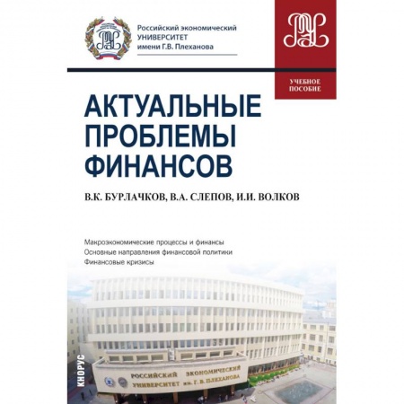 Экономика. Управление. Бизнес, книга Актуальные проблемы финансов. Учебное пособие заказать