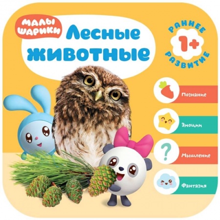 Животный и растительный мир, книга Лесные животные заказать