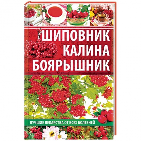 Деревья, кустарники, орехи, книга Шиповник, калина, боярышник. Лучшие лекарства от всех болезней заказать