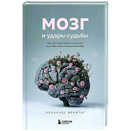 Психоанализ, книга Мозг и удары судьбы. Как запрограммировать свой разум на устойчивость к любым испытаниям заказать