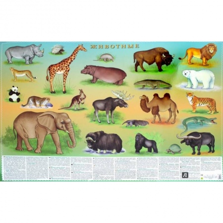 Образовательные системы. 1-4 классы, книга Животные. Цифры и факты. Настольное издание заказать