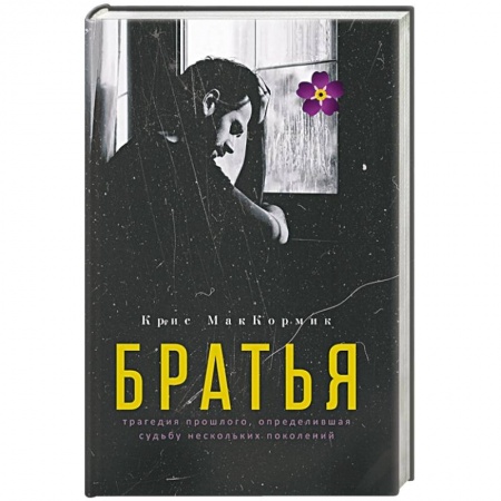 Зарубежная современная проза, книга Братья заказать