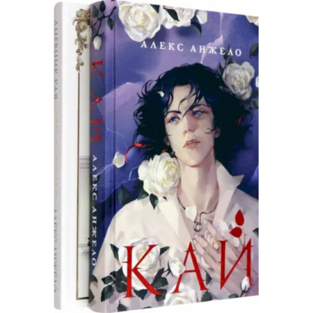 Зарубежное фэнтези, книга Комплект Кай + Арт-блокнот Дневник Кая заказать