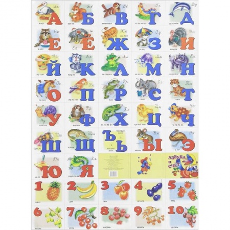 Книги, книга Азбука и счет с прописными буквами заказать