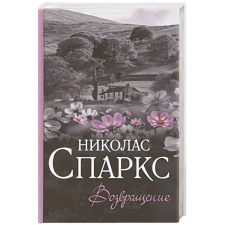Зарубежный любовный роман, книга Возвращение заказать
