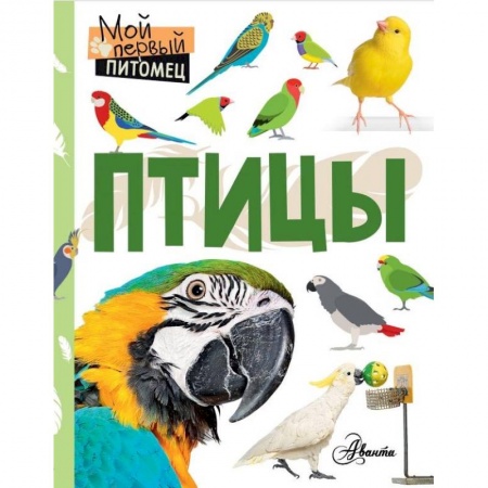 Животный и растительный мир, книга Птицы заказать