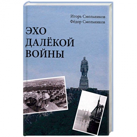 Дневники. Письма. Записки, книга Эхо далекой войны. Дневник фронтовика заказать