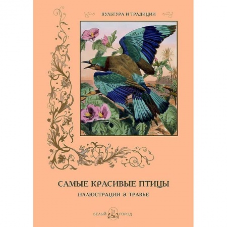 Книги, книга Самые красивые птицы заказать