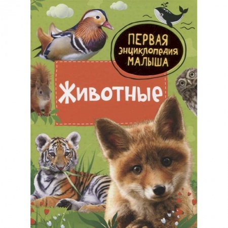 Животный и растительный мир, книга Животные. Первая энциклопедия малыша заказать