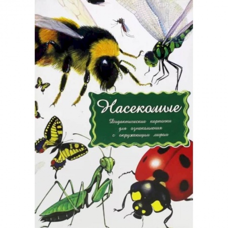 Животный и растительный мир, книга Дидактические карточки. Насекомые заказать