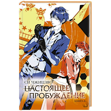 Мистика, ужасы, книга Настоящее пробуждение. Real Awakening. Книга 3 заказать