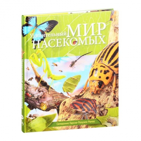 Животный и растительный мир, книга Удивительный мир насекомых заказать