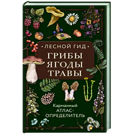 Грибы. Справочники. Определители, книга Лесной гид: грибы, ягоды, травы. Карманный атлас-определитель заказать