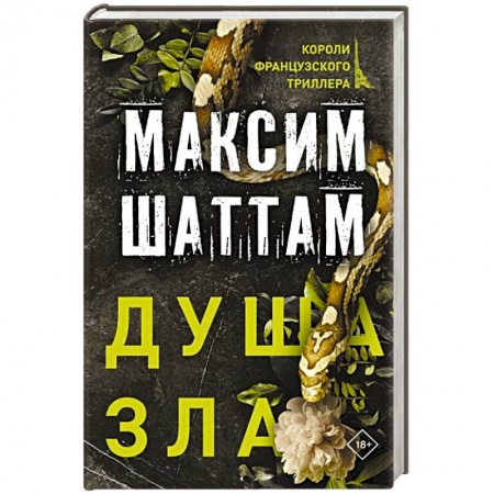 Зарубежный детектив, книга Душа зла заказать