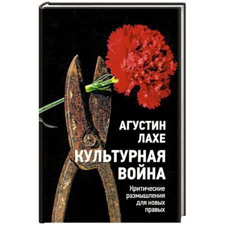 Политика, книга Культурная война: Критическое размышление заказать