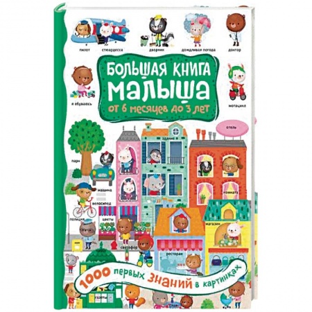 Знакомство с миром, развитие малыша, книга 1000 первых знаний в картинках заказать