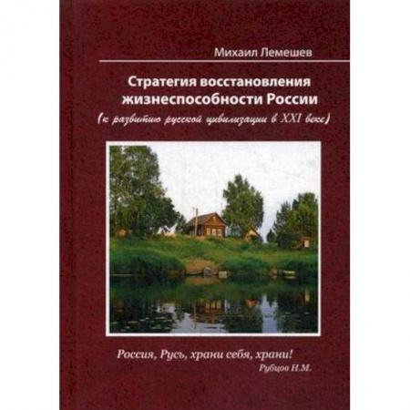 Публицистика, книга Стратегия восстановления жизнеспособности России. К развитию русской цивилизации в ХХI веке заказать