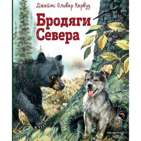 Зарубежная литература для детей, книга Бродяги Севера заказать