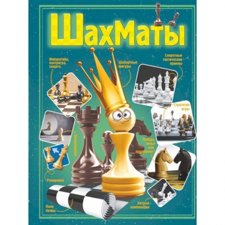 Дополнительные учебные пособия, книга Шахматы заказать
