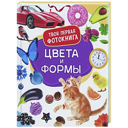 Развитие логики и мышления, книга Цвета и формы заказать