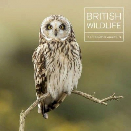 Чтение на английском языке, книга British Wildlife. Photography Awards 9 заказать
