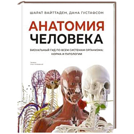 Медицинские энциклопедии и справочники, книга Анатомия человека. Визуальный гид по всем системам организма: норма и патологии заказать