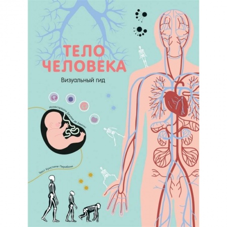 Человек. Земля. Вселенная, книга Тело человека. Визуальный гид заказать