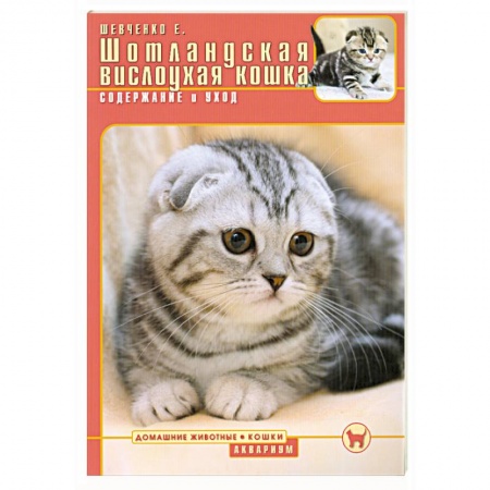 Книги, книга Шотландская вислоухая кошка : Содержание и уход заказать