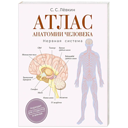 Медицинские энциклопедии и справочники, книга Атлас анатомии человека. Нервная система заказать
