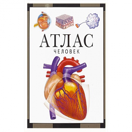 Общие справочники, книга Атлас.Человек заказать