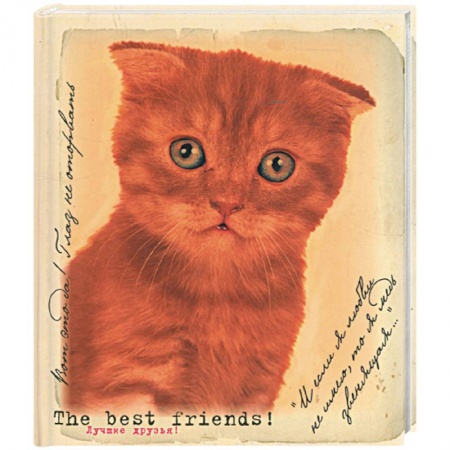 Книги, книга Лучшие друзья. Фотоальбом заказать