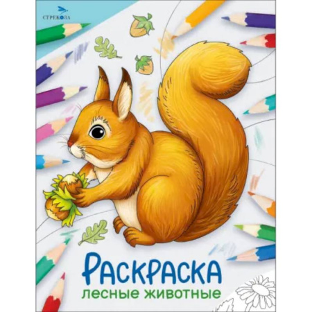 Животные. Птицы. Растения, книга Лесные животные. Раскраска заказать