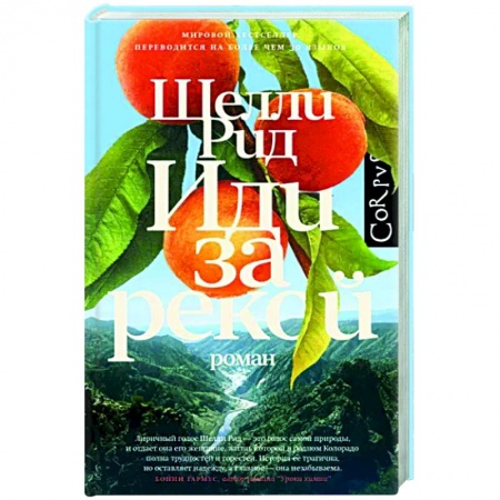 Зарубежная современная проза, книга Иди за рекой заказать