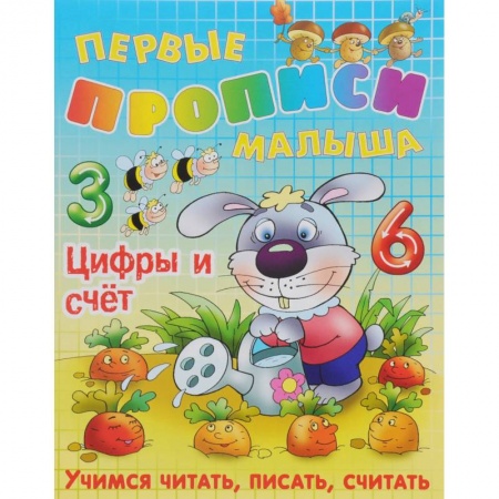 Письмо, мелкая моторика, книга Цифры и счет заказать