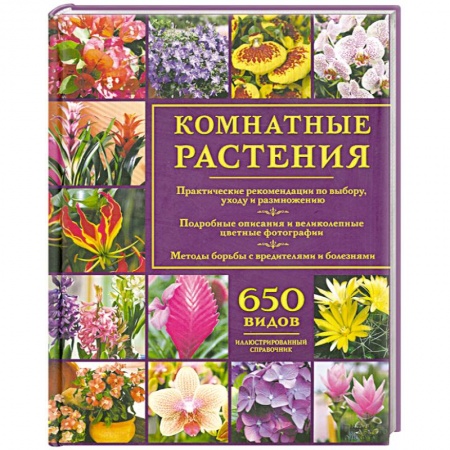 Книги, книга Комнатные растения. Иллюстрированный справочник заказать