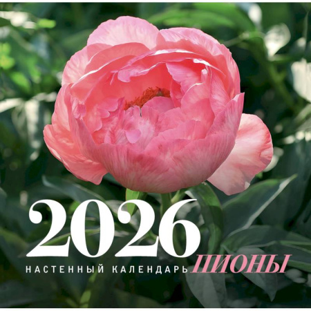 Пионы. Настенный календарь на 2026 год