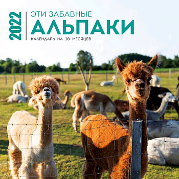 Эти забавные альпаки. Календарь настенный на 16 месяцев на 2022 год Эти забавные альпаки. Календарь настенный на 16 месяцев на 2022 год