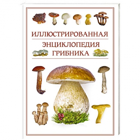Грибы. Справочники. Определители, книга Иллюстрированная энциклопедия грибника. заказать
